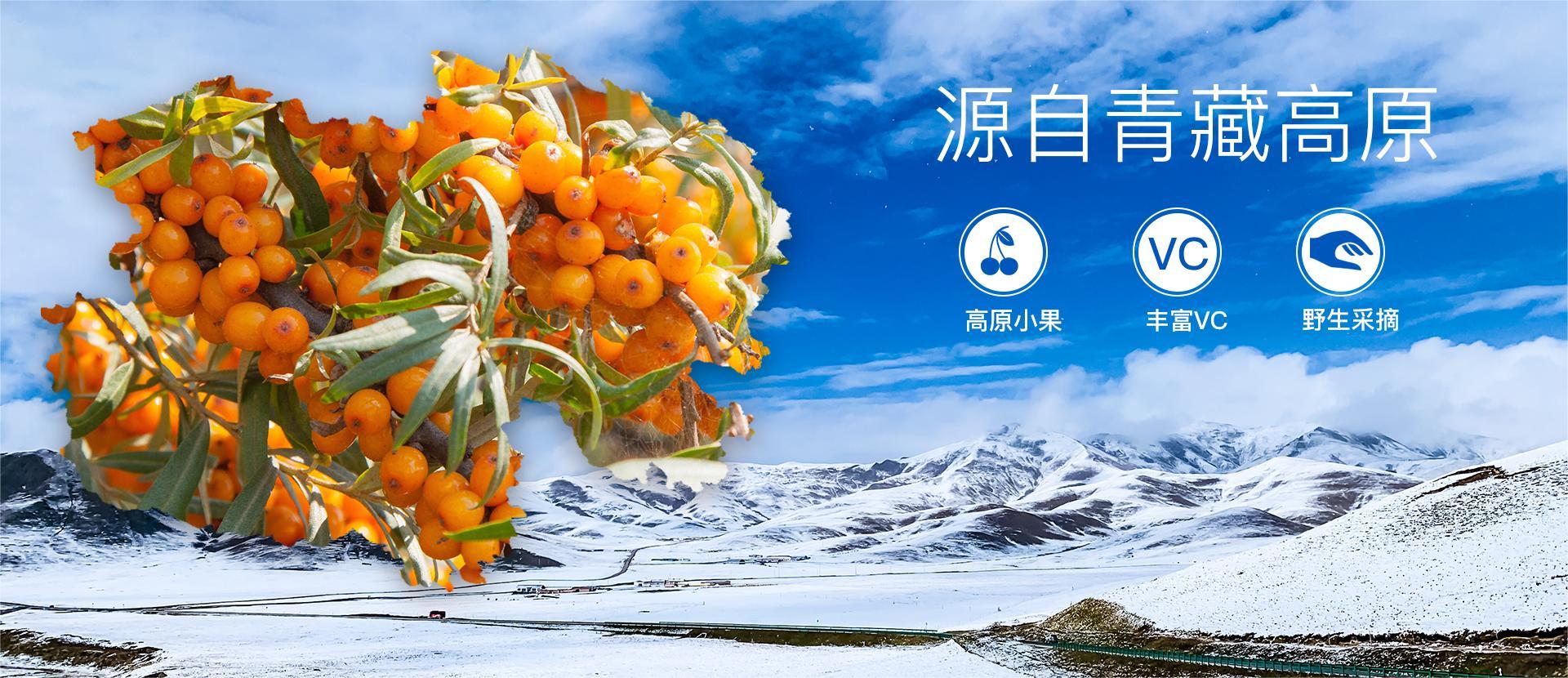 走進(jìn)康普