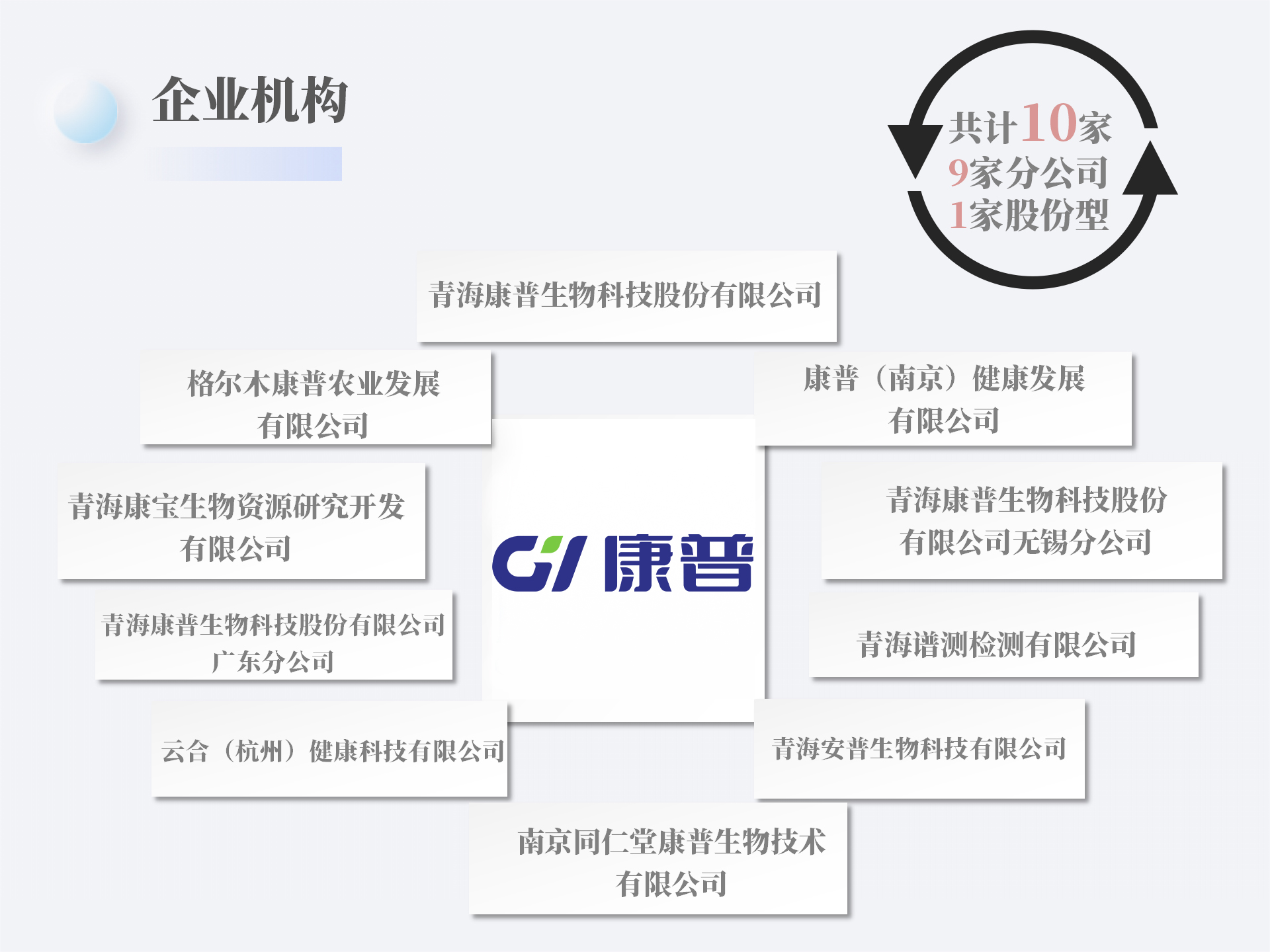 分公司